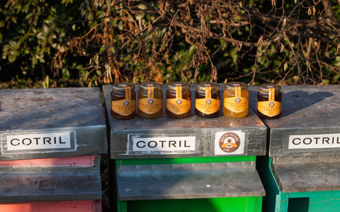 Cotril Naturil, Api e Miele: “Bee my future”
