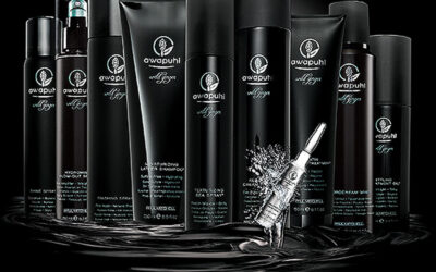 TEST PRODOTTO AWAPUHI WILD GINGER® BY PAUL MITCHELL®