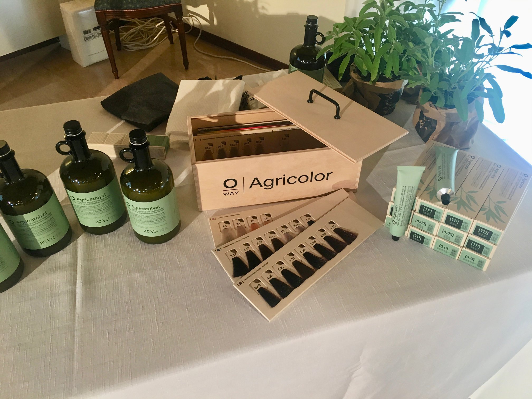 LA SALVIA PER  LA PRIMA COLORAZIONE AGRICOSMETICA LEVIGANTE