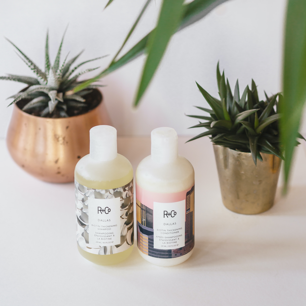 CAPELLI A TUTTO VOLUME CON DALLAS