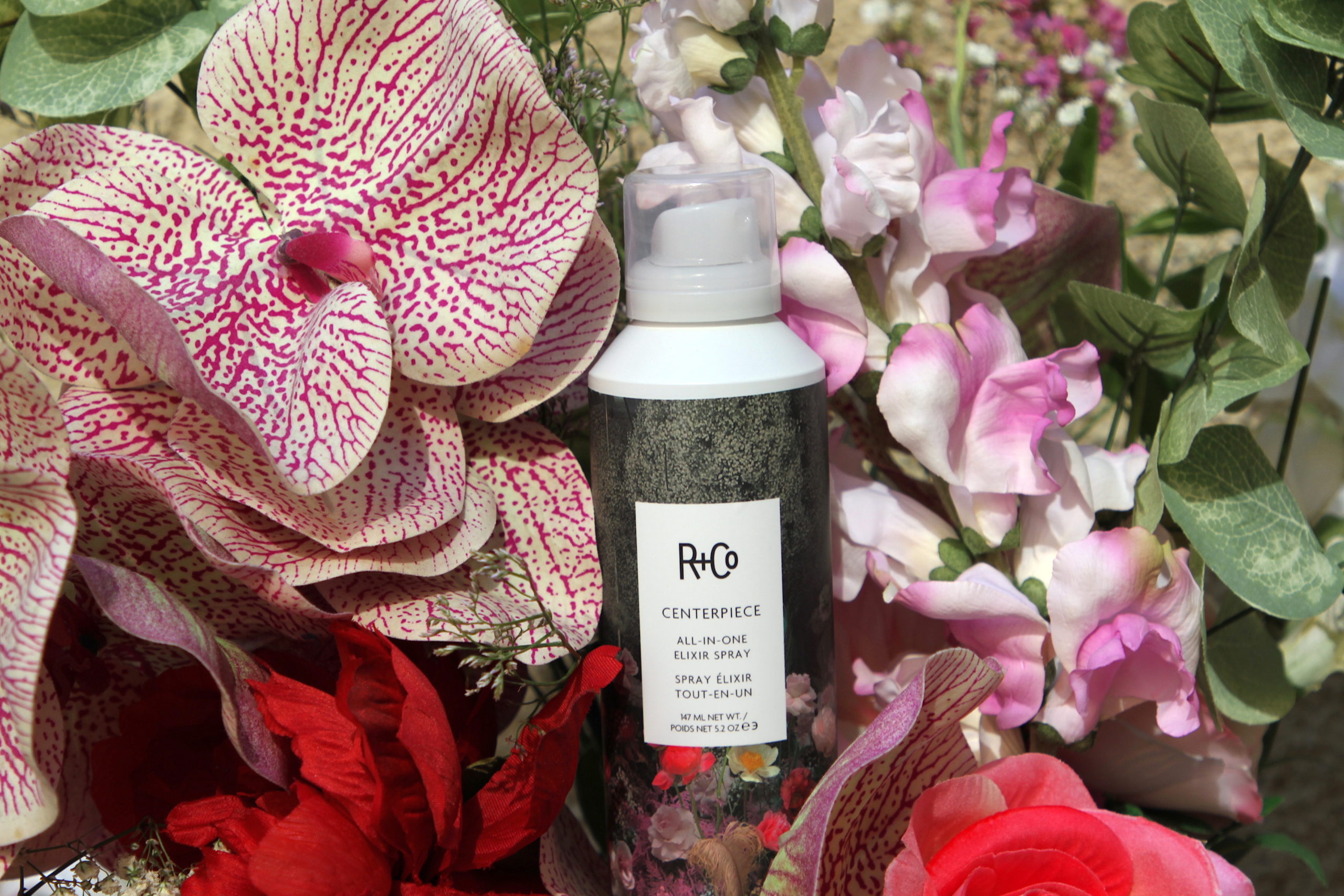 NELLA GIORNATA DELLA TERRA LA BELLEZZA È VEGAN