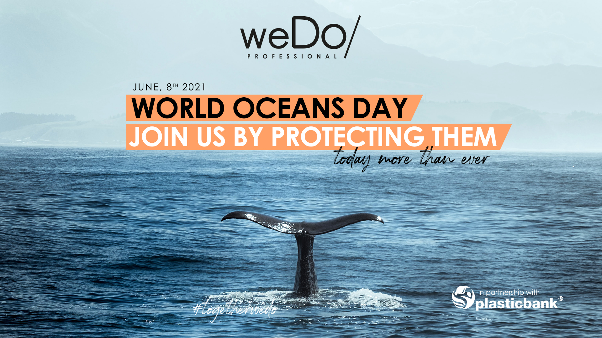 8 GIUGNO: WEDO CELEBRA LA GIORNATA MONDIALE DELL’ OCEANO