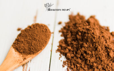 Piante Ayurvediche: La Saggezza Millenaria della Natura per il Benessere