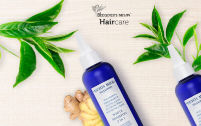 “Canapaoil&Moringaoil linea hair care naturale