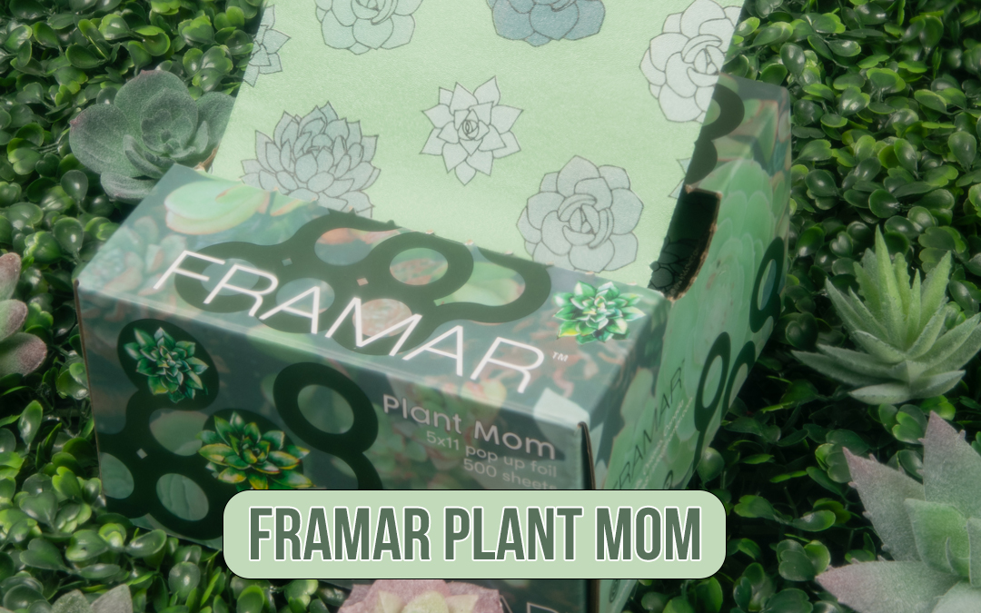 Scopri la Nuova Collezione FRAMAR Plant Mom