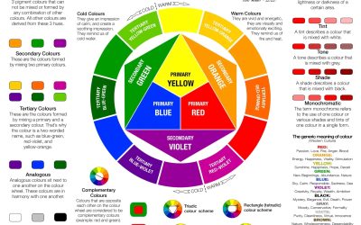 Il Segreto dei Coloristi di Successo: La Teoria del Colore che Trasformerà il Tuo Salone!