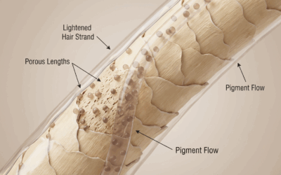 Perché le schiariture si scuriscono durante il colore in base